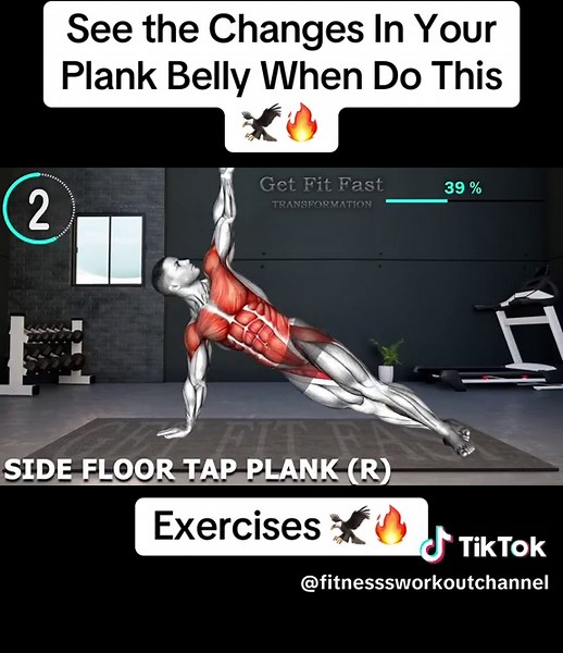 Transform Your Plank Belly with These Effective Exercises