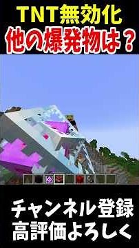 TNT以外の爆発物を無効化できるコマンドはあるの？!#マインクラフト #Minecraft #アップデート #裏技 #minecraftparkour #shorts