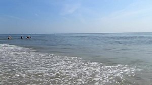 23K views · 1.1K reactions | If you need a Virginia Beach pick-me-up... ☀️ https://www.virginiabeach.com | VirginiaBeach.com | Facebook