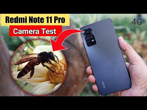 Redmi Note 11 Pro Camera Test | Redmi Note 11 Pro Camera Review 4G | EFA