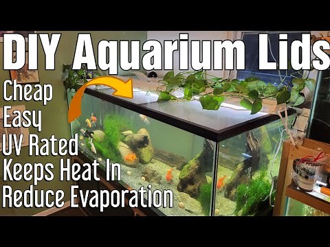 DIY Aquarium Lids - Very Easy!