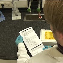 Video: Molecular Cloning: Principle, Procedure, and Applications