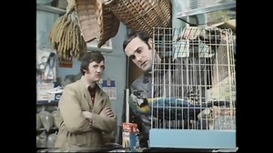 Remarkable bird, the Norwegian Blue. Beautiful plumage. #MontyPython | Vintage Geek