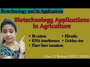 Biotechnology | Application in Agriculture | GMO |Bt cotton |RNA interference |Class 12 Biology/NEET