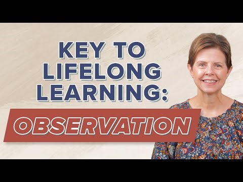 The Tool of Observation for Lifelong Learning
