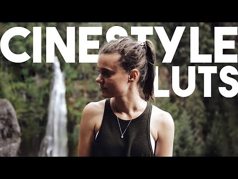 Best LUTs For Canon Cameras with Cinestyle (SL2, M50, 80D etc)