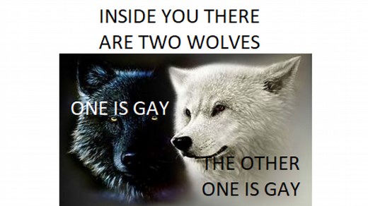 Inside You There Are Two Wolves | Know Your Meme