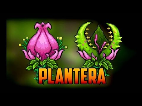 Plantera. Master mode mobile. 3 attend