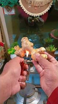 Ginger Halwa Recipe | Winter Special Remedy Halwa | Cough & Flu Relief Dessert