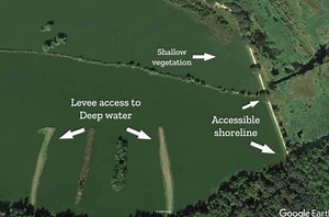 How To Crappie Fish From The Bank (What To Look For & Tips!) • Panfish Nation