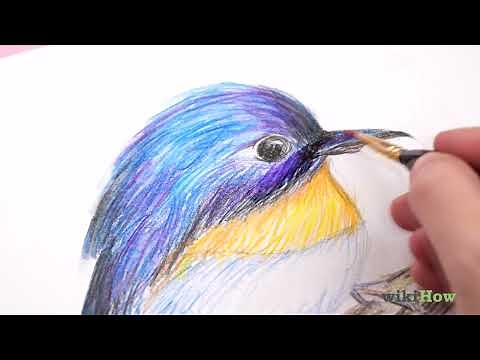 How to Use Watercolor Pencils