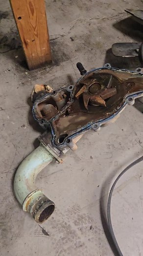 Stroker Diesel on TikTok