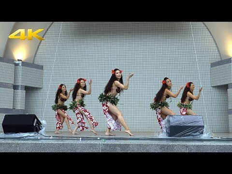 4K60P 美しいタヒチアンダンス Beautiful TAHITIAN DANCE