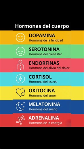 Las 7 Hormonas Que Controlan Tu Bienestar