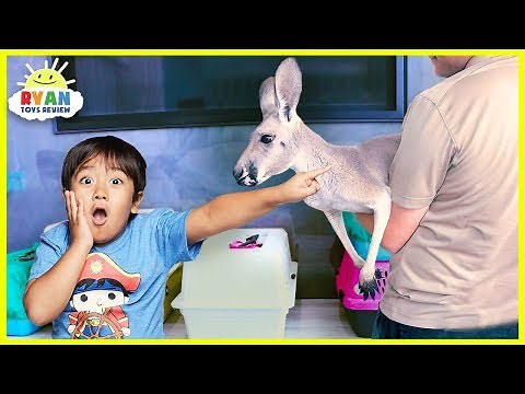 Meet Ryan's New Pet Kangaroo!!!!