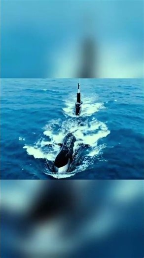 Bangladesh Navy Demonstrates Advanced Maritime Defense Skills