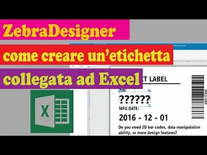 ZEBRADESIGNER COME CREARE UN ETICHETTA COLLEGATA AD UN FILE EXCEL TUTORIAL