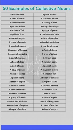 "50 Full Collective Nouns with Examples: Enhance Your English Vocabulary!"