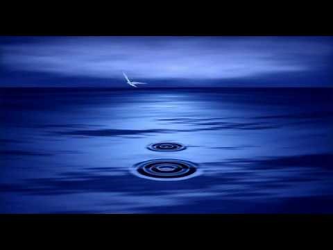 Media 8 Entertainment Logo