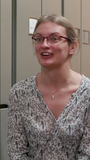 The mutualistic relationship of the dwarf mongoose and hornbill #NHM #Friends #Nature