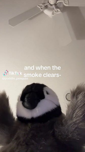 puddles and the fish addiction… 🐟 🐧 #funny#fyp | fish