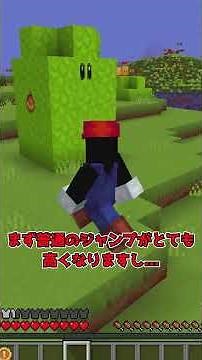 [MOD Introduction] A Mario world with a high level of fidelity has appeared...!? [Minecraft] [Slo...