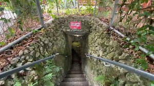 29K views · 449 reactions | Devil's Den Prehistoric Spring on Reels | Facebook