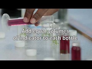 Pearson Edexcel (9-1) |SHORTS | Investigating Photosynthesis | GCSE Combined Science | GCSE Biology