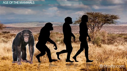 Cenozoic Era | Definition, Timeline & Facts