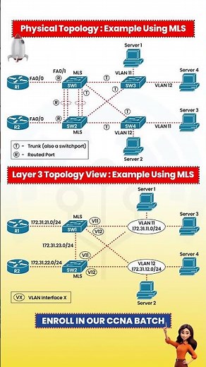 Layer 3 Topology vs. Physical Topology MLS Explained Easily