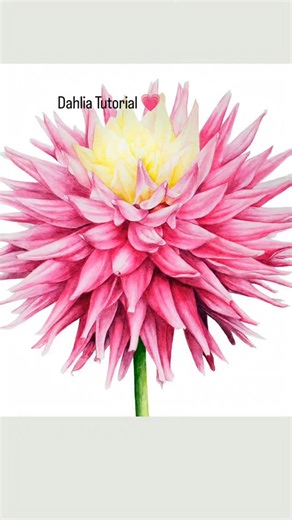 I loved painting this Dahlia Tutorial 💗 Come and have a go👉 #watercolortutorial #flowerpainting #creativelifehappylife | Marie Burke Art