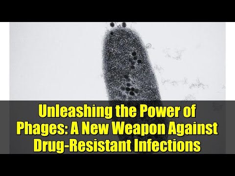 Unleashing the Power of Phages: A New Weapon Against Drug-Resistant Infections