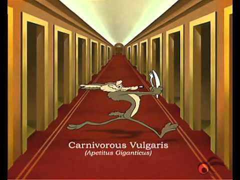 Cartoon Network Europe - Hotel Bumper (2002)