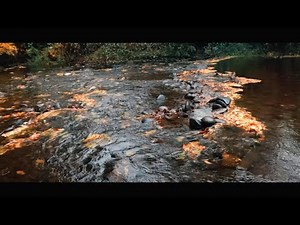 SOUTHWEST OREGON IN FULL COLOR - A BREATH-TAKING FALL JOURNEY