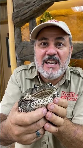 Venomous toad 🐸 😱 this is cane today and they have destroyed entire systems like 🧟‍♂️