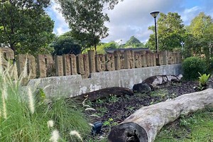 Springleaf Nature Park | All Access Guide • The Gees Travel