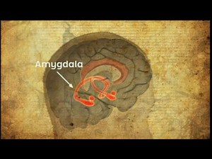 Cutting Edge - World Culture: Flashbulb Memories