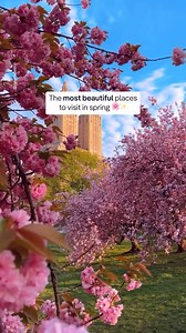 135K views · 2.4K reactions | Spring has well and truly sprung, and...