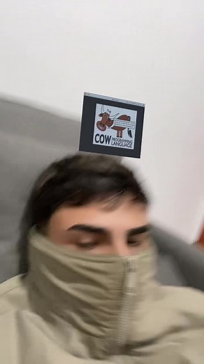 eu goxtummm ☕️ #programminghumor #code #java #fy