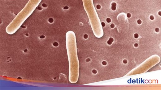 Test Tipes Widal dan Tubex, Berikut Penjelasan dan Caranya