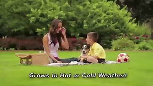 16K views · 386 reactions | Loving your beautiful Hydro Mousse lawn? Hydro Mousse Refills are now available! https://www.hydromousserefillsoffer.com/?mid=8529183 | As Seen On TV | Facebook