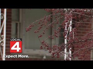Local 4 News at 11 -- Jan. 4, 2024
