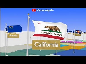 Flags Of 50 States of America