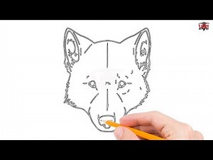 How to Draw a Wolf Head Step by Step Easy for Beginners – Simple Wolves Drawing Tutorial