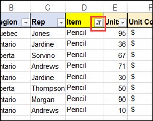 Get Free Excel Sample Files - AutoFilter Advanced Filter