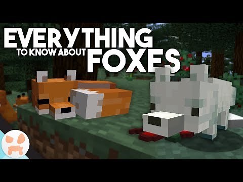 EVERYTHING to know about FOXES!