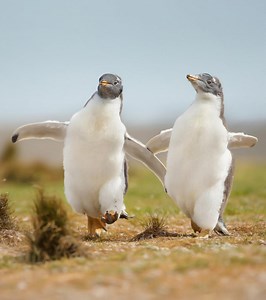 180 Hilarious Animal Jokes For Kids To Laugh Out Loud