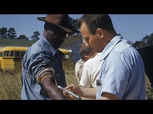 Disturbing Secret Science Experiments That Actually Happened