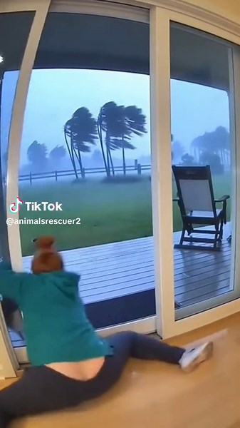 She did save her though 🥺🥺. #animals #wildlife #wildliferescue #animalrescue #rescue