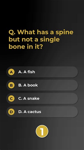 difficult riddles with answers | mind bending puzzles | mind bending riddles